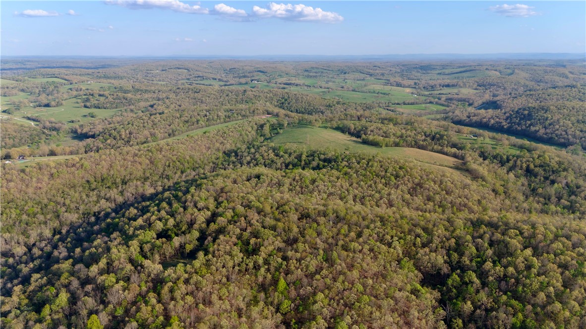 80 +/-  acres located just southwest of Yellville, AR offering excellent hunting and recreational opportunities. The property lays out nicely with a large portion on a prominent ridge system. Loaded with wildlife, with deer and turkey observed and a proven harvest history. Neighboring property to the north and northwest have been managed with timber stand improvement and prescribed burns, enhancing habitat quality. Several clearings are in place for food plots. Mature timber includes abundant white oak, red oak, and hickory. The eastern portion provides excellent bedding cover. Features include draws, secondary drainages, small springs, and a watering hole. Ingress/egress and utility easements provided. Ideal for hunting or a cabin retreat.  It’s the kind of place you can step onto and hunt with confidence right away. Crooked Creek access nearby and the White River just to the east. Shown by appointment only.

- 10 minutes to Yellville
- 35 minutes to mountain Home
- 45 minutes to Harrison