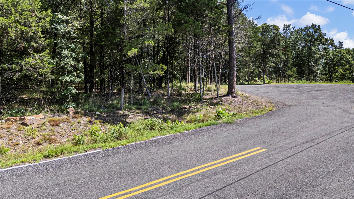 Located among mature trees, this 2.29-acre wooded lot offers the perfect opportunity to build your dream home while enjoying the beauty and privacy of nature. Once selectively cleared, the property has the potential to showcase scenic bluff, city, and mountain views. With paved road frontage and utilities available, this property combines peaceful surroundings with the convenience of being just minutes from everything Russellville has to offer.