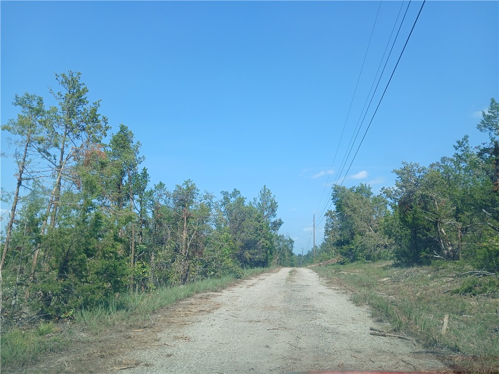 Section 10 - Land