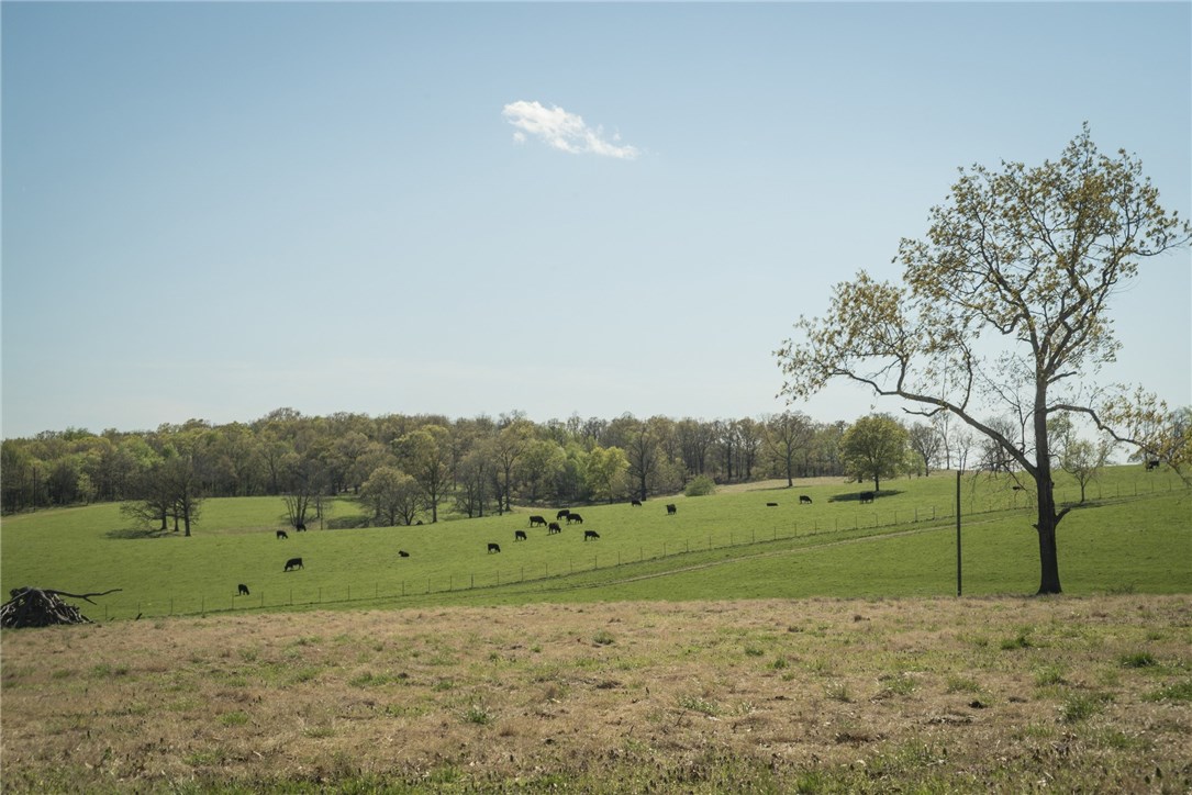 . - Land