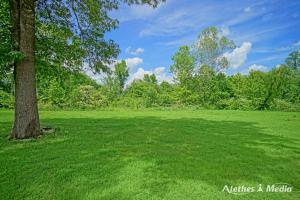 Dixon Springs Road - Residential