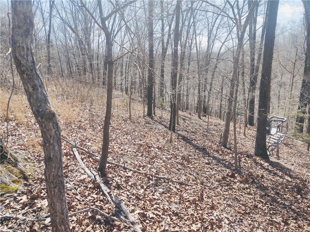 33-20-29-rural - Land