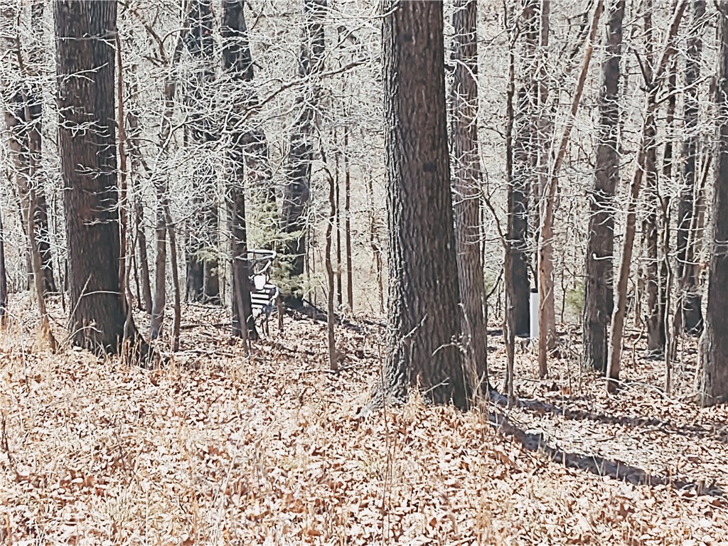 33-20-29-rural - Land