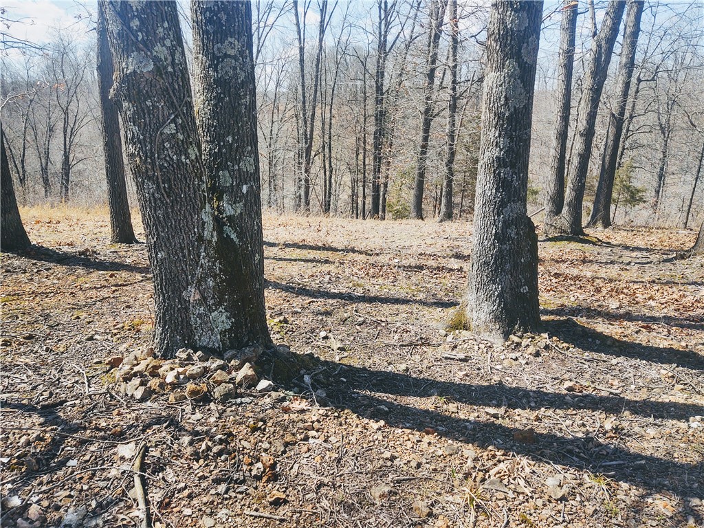 33-20-29-rural - Land