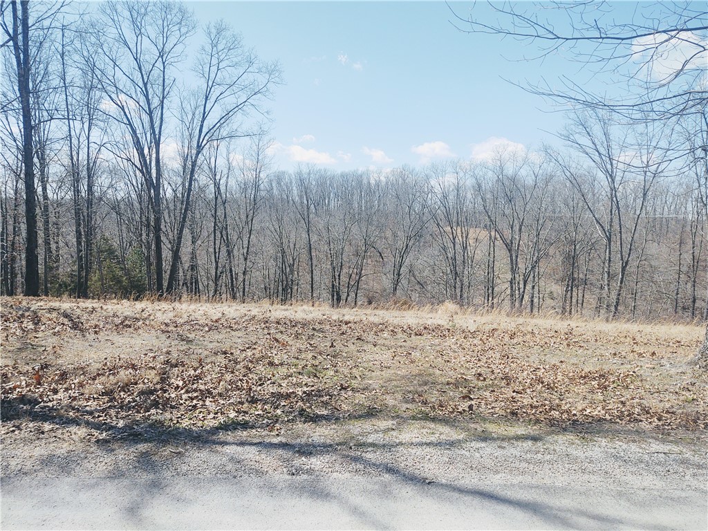 If you have been looking for an amazing place to build a home you won't want to miss this one. This property has already got a home site cleared and ready for you to build. Part of the property has great hunting opportunities.
