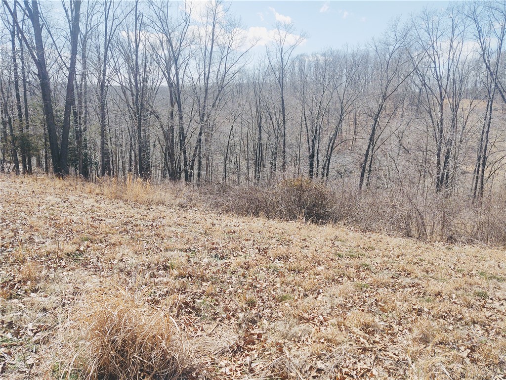 33-20-29-rural - Land