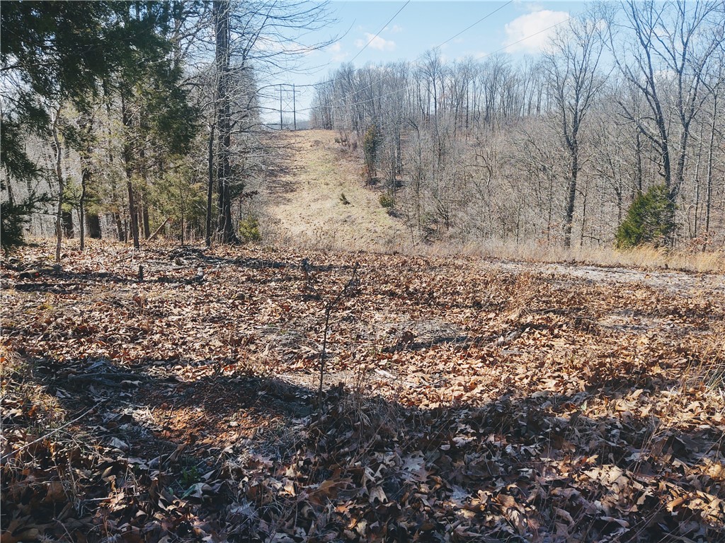 33-20-29-rural - Land