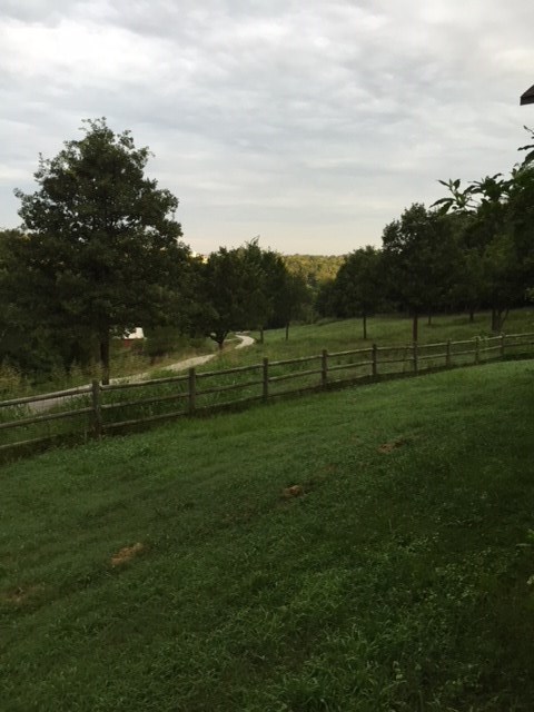 Huntsville City - Residential