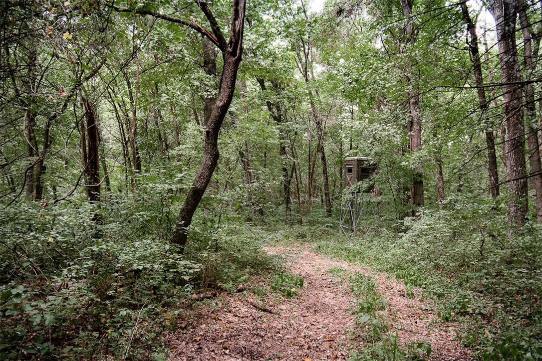 Rural - Residential