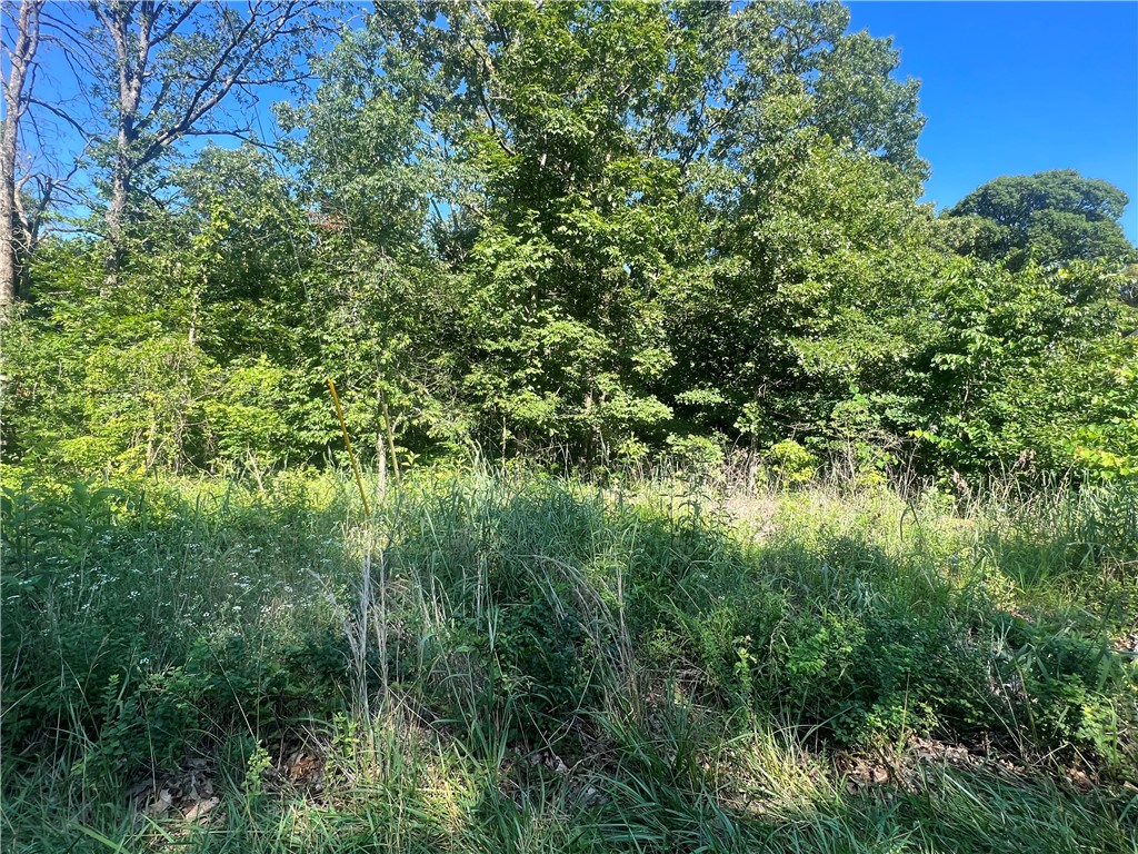 Introducing an exceptional opportunity to own a beautiful 0.39-acre lot in the sought-after community of Bella Vista, Arkansas. Situated in a tranquil neighborhood, this vacant lot is the perfect location to build your dream home or make a valuable investment in this desirable area.

Bella Vista is known for its natural beauty, scenic landscapes, and abundant outdoor recreational activities. Enjoy the convenience of living in close proximity to parks, golf courses, hiking trails, and stunning lakes.
Residential Zoning: The property is zoned for residential use, allowing for the construction of a single-family home tailored to your preferences. Conveniently located near major roadways, the property offers quick access to amenities, schools, shopping centers, dining options, and other essential services.