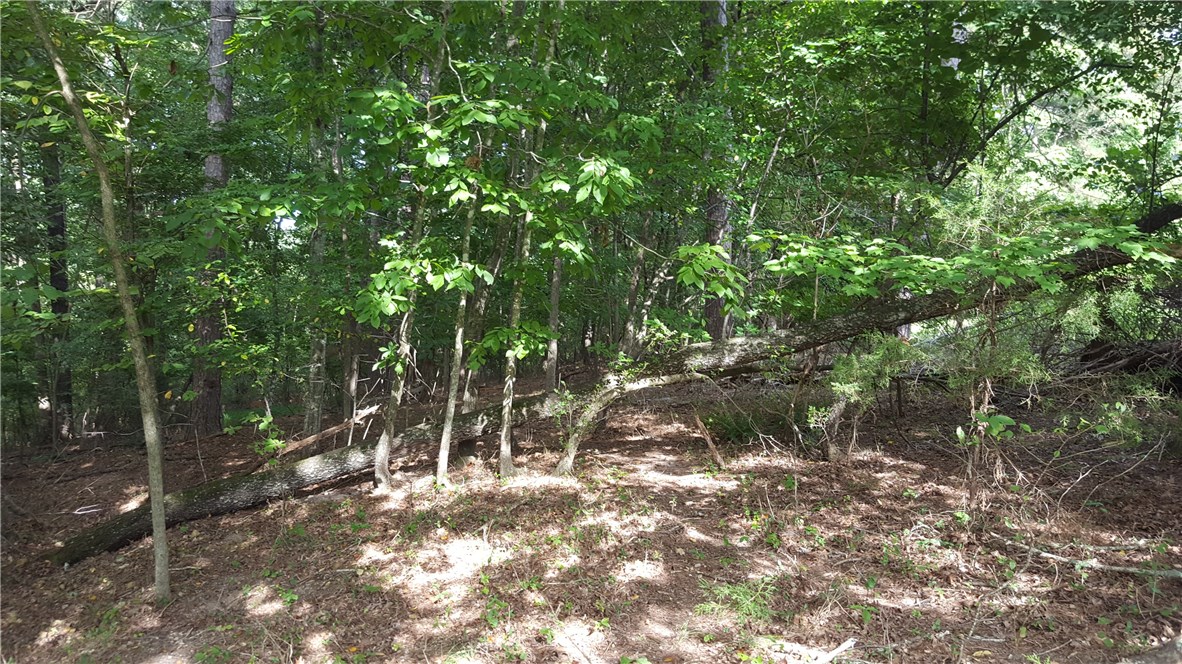 Beaver Shores Unit 4 Rurban - Land