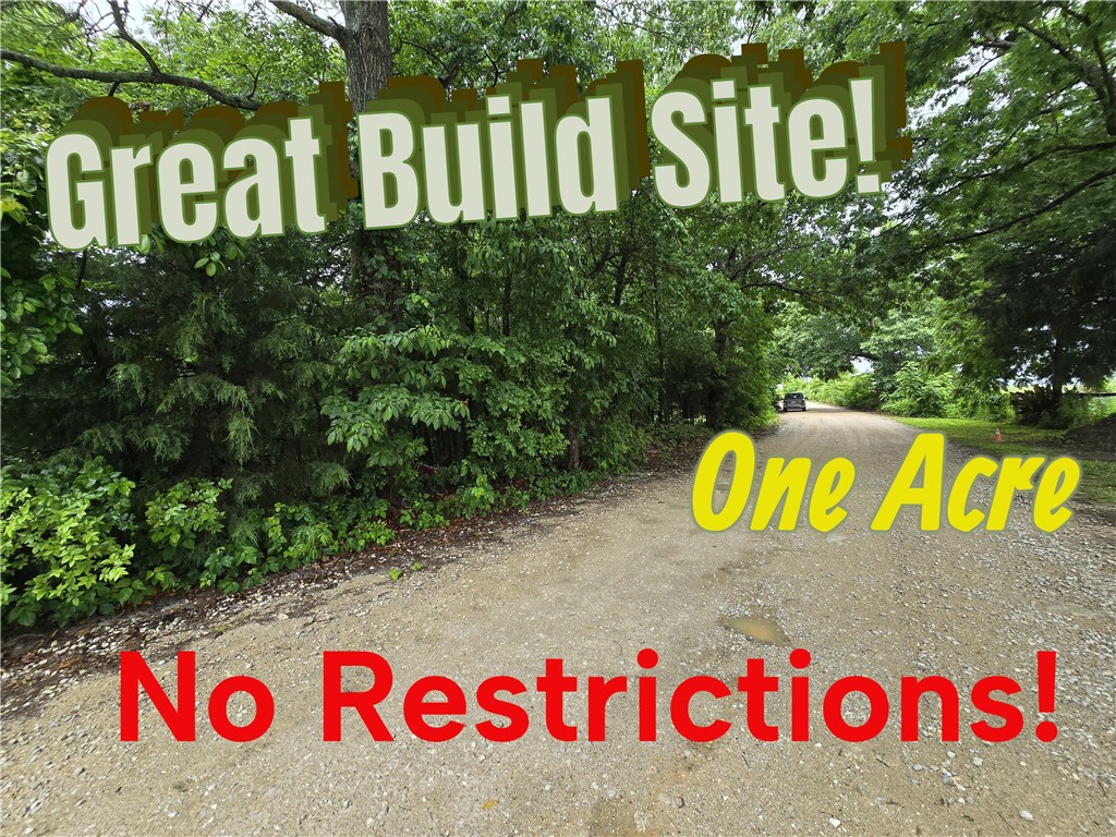 **Beautiful Wooded Acre Near Table Rock Lake & Branson Attractions!**  Escape to the Ozarks with this approximately 1-acre wooded lot offering privacy, natural beauty, and endless possibilities. Conveniently located just off Highway 14, this unrestricted property gives you the freedom to build your dream home, vacation retreat, cabin, or investment property with no HOA or restrictions. Enjoy the perfect blend of seclusion and accessibility -- only 5 minutes to Cricket Creek Marina on Table Rock Lake, 10 minutes to Top of the Rock, Big Cedar Lodge, and Thunder Ridge Nature Arena, and just 20 minutes to Branson shopping, dining, and entertainment. Electricity is available at the road, making development even more convenient. Whether you're looking for a peaceful getaway, future homesite, or investment property build site, this wooded parcel puts you close to the best of the Ozarks while still offering a quiet, country setting.