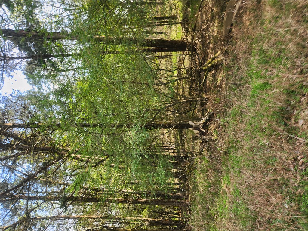 Beautiful wooded land ready to become the setting for the home of your dreams! Beautiful mature forest with a spot for you to build already cleared. This is a hard to find 6.3 acre m/l tract that is close to town, yet offers lots of privacy in a great area!