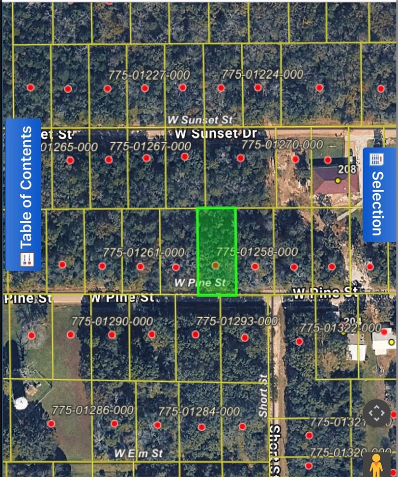 Great building lot in lakeside community. This 60 x 120 lot is ready to be cleared and for you to build that lake cabin on. Buyer to verify utilities. 1000 SF minimum build restriction. Sorry no mobiles or RV's allowed in the part of town. Just a 5 minute drive to the public Sugarloaf Harbor Marina and one minute drive to a beautiful 18 hole championship golf course.