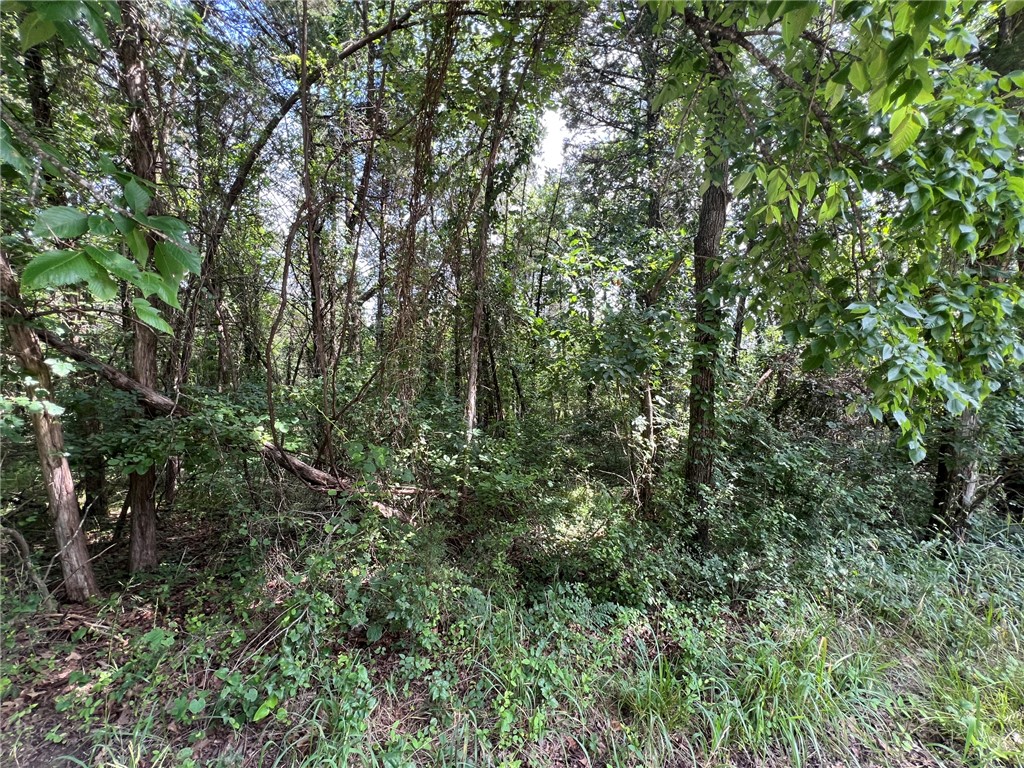 Diamond Point Subdivision II - Land