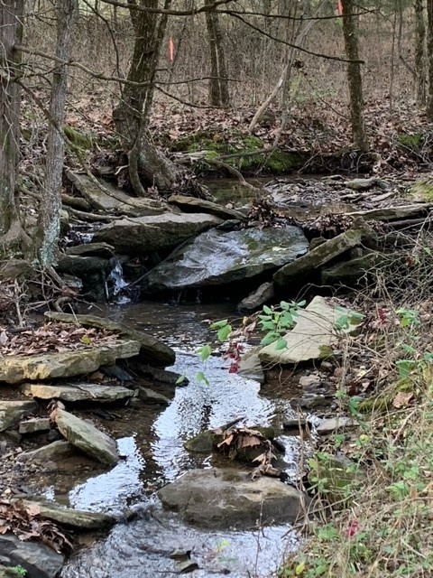 Want to move to the country, but not too far out??  Here ya go! 3.39 mostly wooded acreage in Elkins. Build your dream home or hunting cabin. Roughly 255 feet of road frontage. A concrete culvert across the creek will be needed to access the property in the future.  But you can access the property where the arrow sign and orange ribbons are located. There are 2 flat areas at the top of the property where a structure could be placed or built. It's less than 2 miles of dirt road. Will need a perk test. Do not disturb neighbors or drive in their driveways. 14 miles to Fay Square. Call listing agent for information.