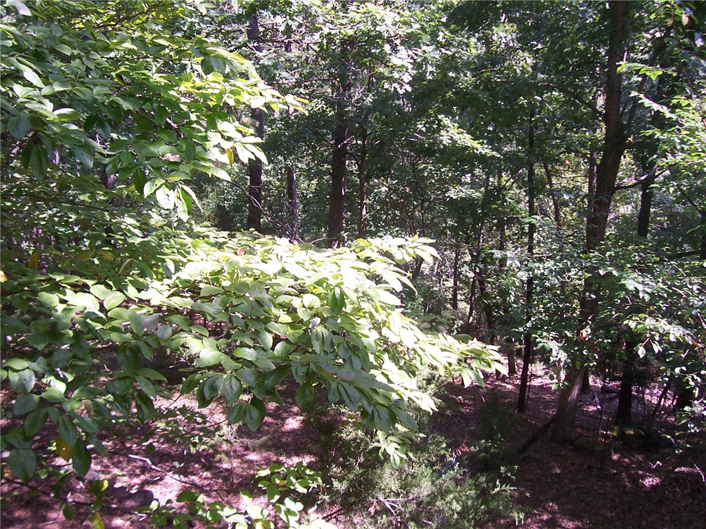 Pines Sub - Residential