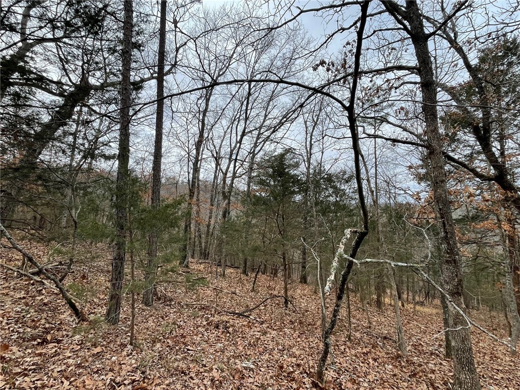 Wolfridge Estates #2,3,4 - Land