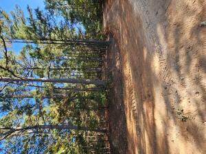 Corner lot in Country Club Heights subdivision - just behind Bay Ridge & Lions Den Golf Course.With a view of Lake Dardanelle, a golf course at the bottom of the hill, and a private wooded setting that is still close to town, this lot is the perfect location to start building your dream home!