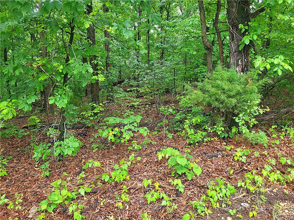 Nice buildable corner lot on paved roads. Lots of mature trees. Located on a quiet street less than 1-mile from the Back 40 and Sbat Trail Head.