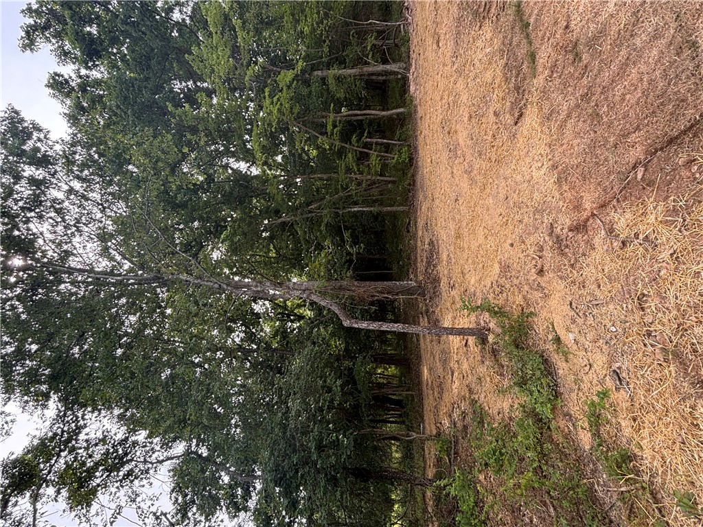 Ready to build your dream and live the Bella Vista lifestyle? This 0.30-acre lot is tucked away on a quiet cul-de-sac, offering the perfect blend of privacy, recreation, and investment potential.

Love the lake life? You're just minutes from Loch Lomond and the Lakepoint Marina area, where boating, fishing and waterfront relaxation await.

Want year-round recreation? Branchwood Recreation Center is also just minutes away, featuring a fitness center, indoor pool, pickleball courts, and walking trails.

Golf your game? Head over to Highlands Golf Course & Pub for a round of golf followed by great food and drinks with friends.

Craving adventure? The Little Sugar Trail System is nearby, offering miles of incredible mountain biking and hiking trails. 

Whether you're looking to build your forever home or invest in one of NWA's fastest-growing communities, this lot puts you right in the heart of what makes Bella Vista so special.  Claim your slice of Bella Vista before someone else does!
