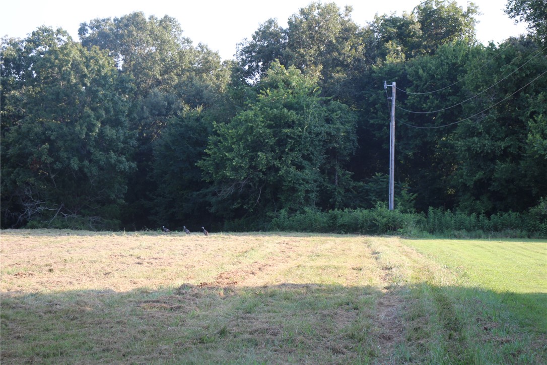 White River Valley - Land