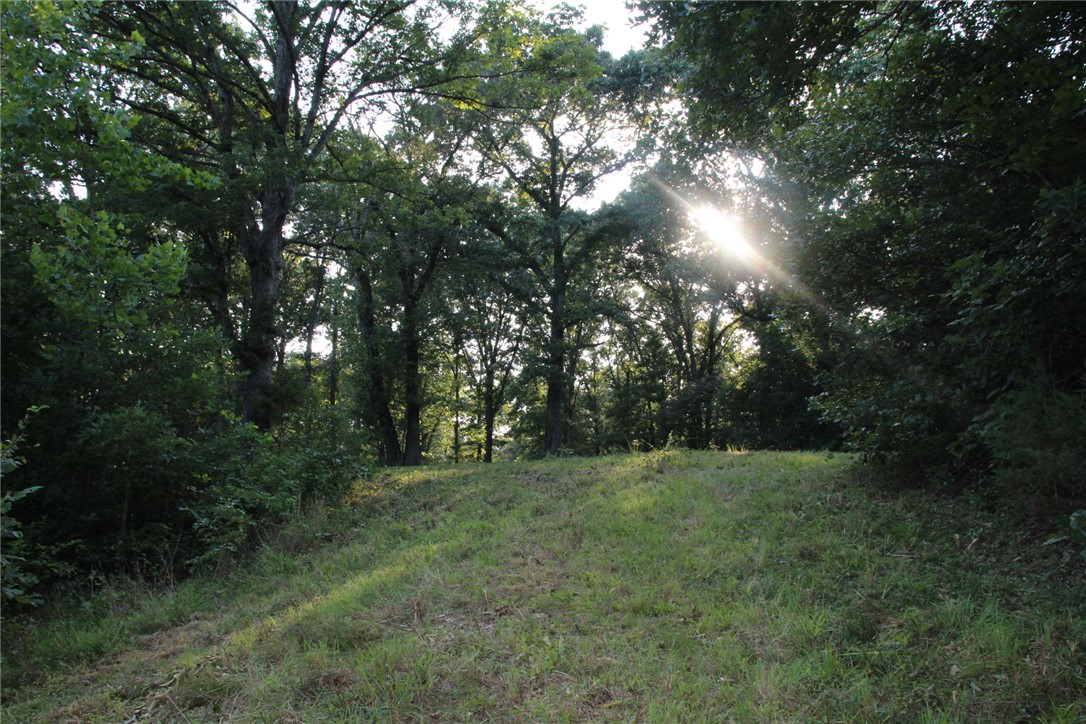 White River Valley - Land