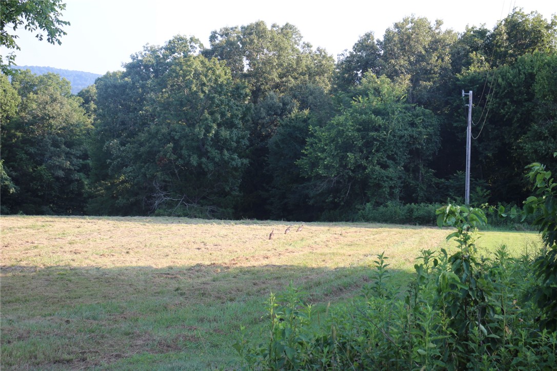 White River Valley - Land