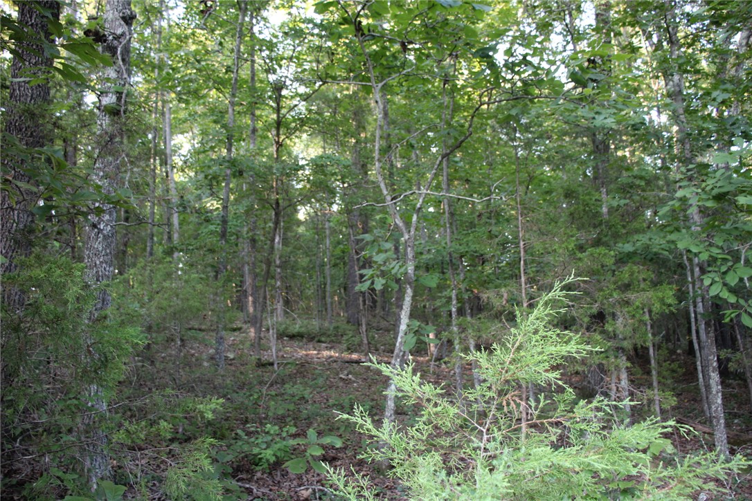 White River Valley - Land