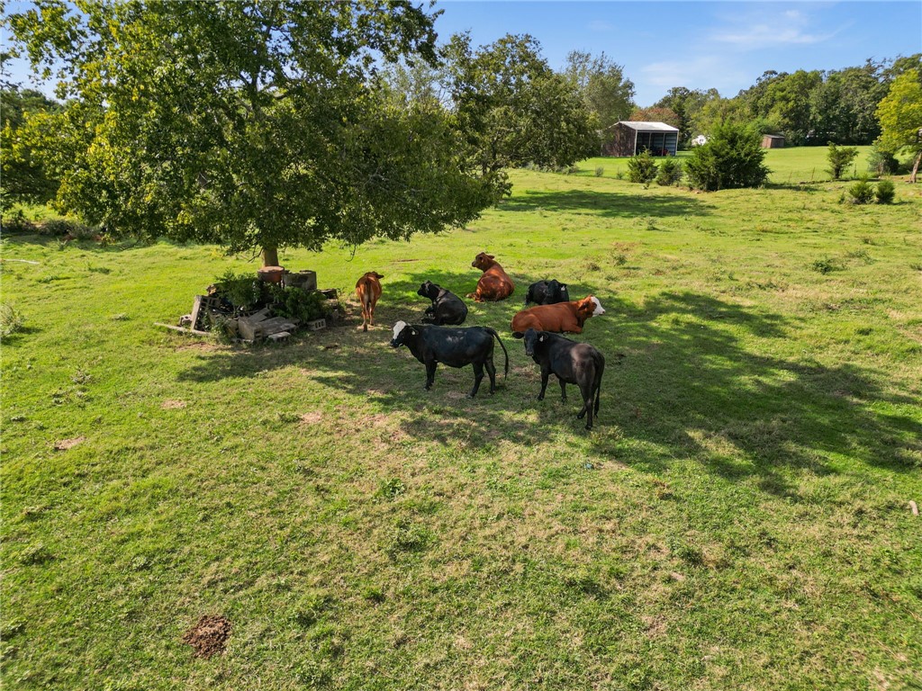 Springdale Outlots - Land