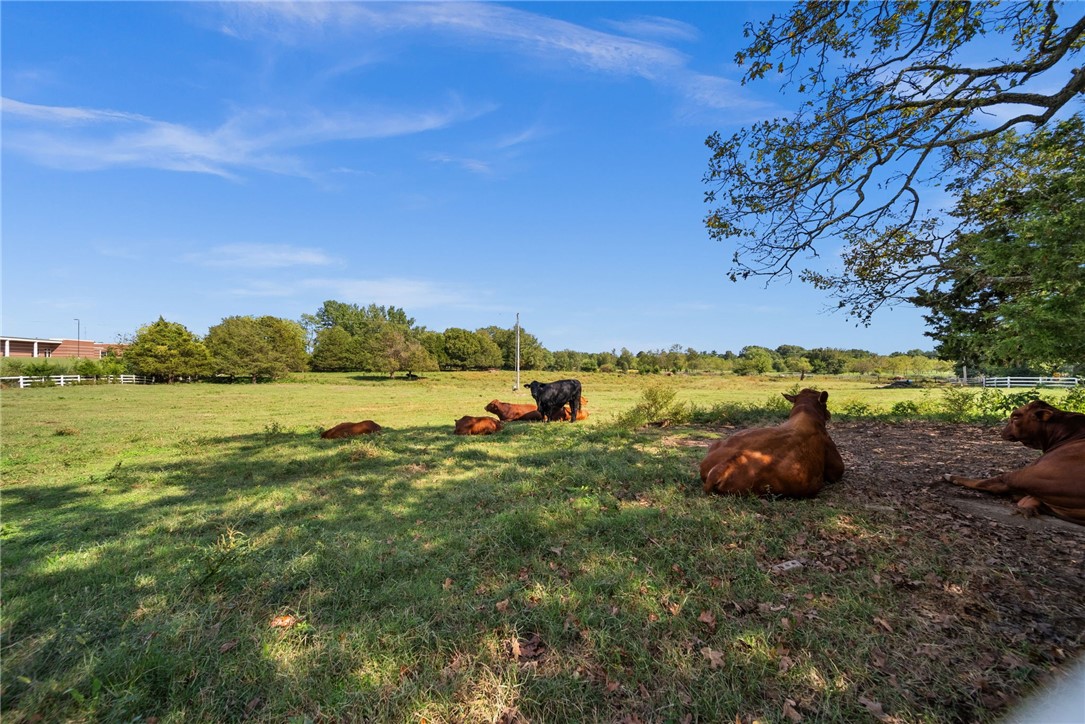 Springdale Outlots - Land