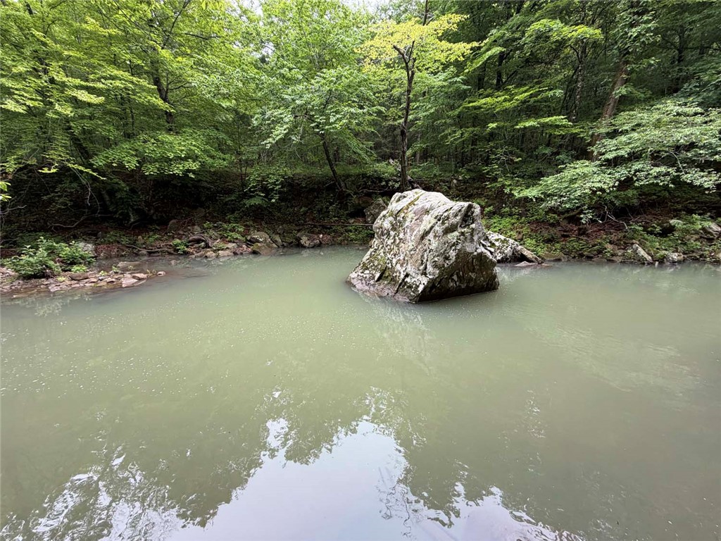 Ozark Mountain retreat with 118.71 stunning acres along the banks of Shop Creek in beautiful Newton County. This remarkable property offers privacy, natural beauty, and endless outdoor adventure. It is bordered by Ozark National Forest on three sides and located at the end of a county road. The land features an unfinished 5-BR, 1-BA cabin supplied by a gravity-flow mountain spring. Enjoy towering hardwood timber, massive boulders, dramatic bluffs and year-round Shop Creek with your own private swimming hole. Mountain views and abundant wildlife create a peaceful, secluded setting that is hard to find. Step directly from the property into thousands of acres of National Forest, with hiking access to nearby Bear Cave and countless opportunities for hiking, hunting, and exploring. Conveniently located just a short drive from Jasper, Little Buffalo River, Buffalo National River, this property combines seclusion with access to some of the most sought-after outdoor recreation in the Ozarks. Owner financing available.