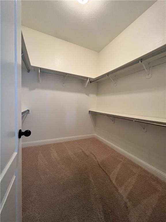 Central Park - Residential Lease
