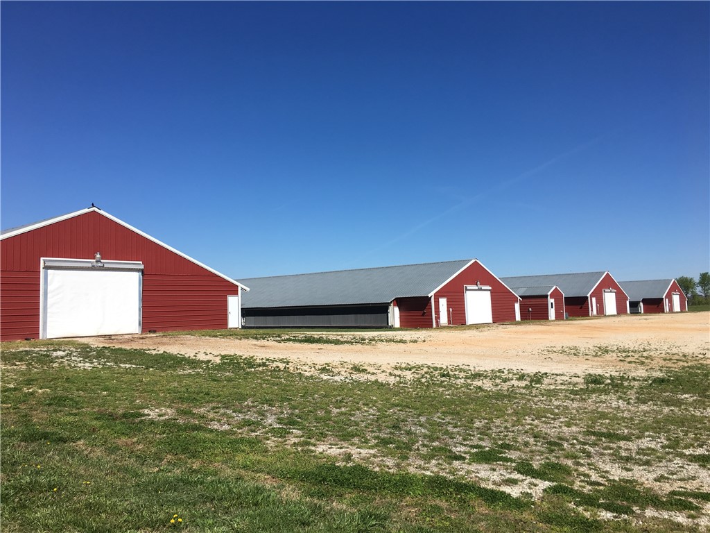 This is an exceptional opportunity! While many chicken farms show signs of wear and reduced productivity after 12-15 years, this one is a standout! With barns constructed 2004, this farm continues to operate and perform as if it were brand new. Thanks to the committed owner’s ongoing improvements, this property is in prime condition. The impressive gross income of $750,000 speaks for itself. 
The farm features 8 drop ceiling houses, each measuring 43x500. All updates already taken care of. But that's not all! In the last 5 years, the farm has received new drinker lines, upgraded heaters, enhanced fans, and insulation improvements. It utilizes well water with public water as a backup and natural gas for heating. 
Perhaps the most enticing aspect is the location, just 15 minutes from the University of Arkansas and surrounded by excellent public schools! Plus, the city is expanding toward this farm. Seize this chance to invest now, reap the rewards, and cash out when it suits​​‌​​​​‌​‌​​​‌‌​​​‌‌‌​​‌​​‌‌​​​​ you!