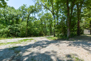 Blair Branch Area - Residential