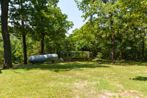 Blair Branch Area - Residential