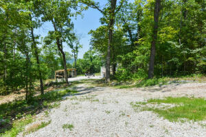 Blair Branch Area - Residential