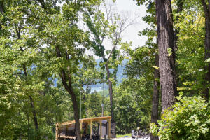 Blair Branch Area - Residential