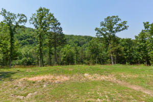 Blair Branch Area - Residential