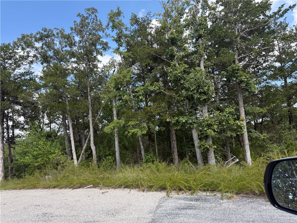 Nestled between Table Rock Lake and the Mark Twain National Forest, this 5.1-acre parcel sits in an upscale 45-lot subdivision designed for privacy and natural beauty. Mature hardwoods provide brilliant fall color and vibrant spring blooms, creating a stunning backdrop for your dream home.

A private subdivision-owned swim and fishing dock offers easy access to Table Rock Lake, while the surrounding forest delivers endless opportunities for outdoor recreation. Conveniently located just 30 minutes from historic Eureka Springs and an hour from Branson, this property combines seclusion with accessibility.

Discover the perfect balance of nature, community, and convenience on this beautiful piece of land.