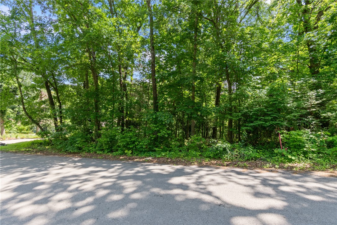 Buildable .29 acre lot close to Tanyard Creek. Enjoy all the amenities Bella Vista has to offer. Back 40 trail nearby for the bike enthusiasts.