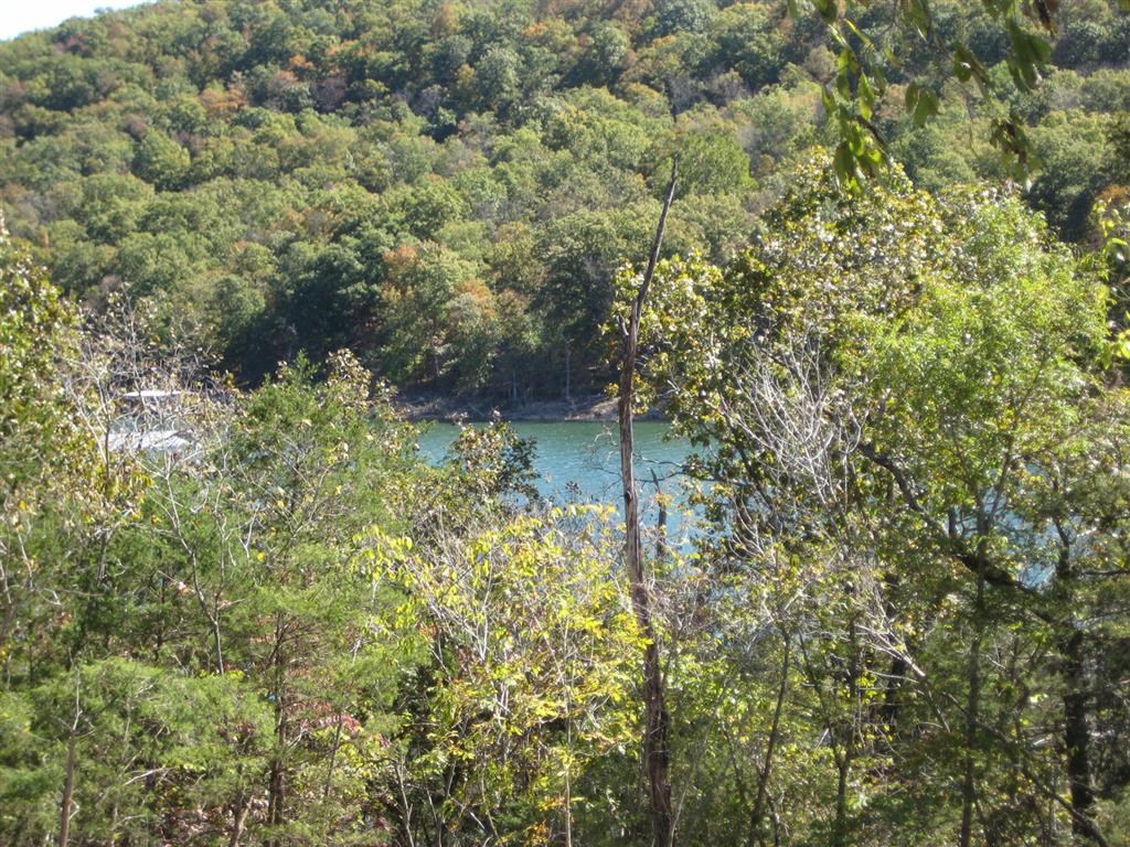 Cedar Cove - Land