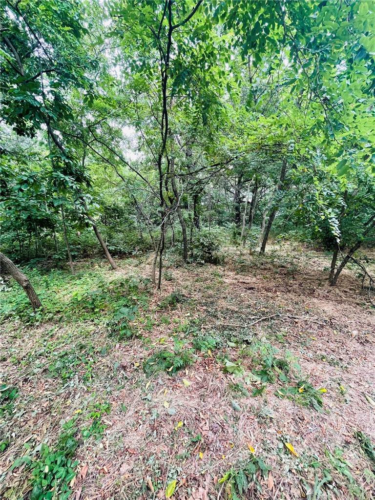 MO ARK VIEW ESTATES - Land