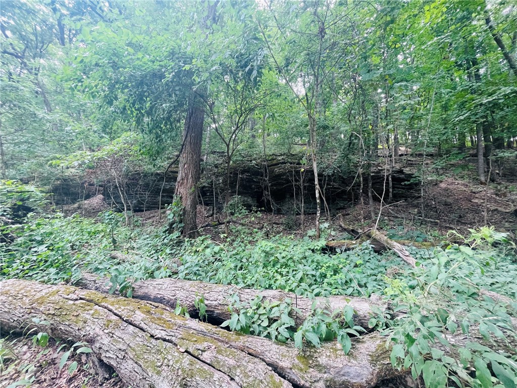 MO ARK VIEW ESTATES - Land