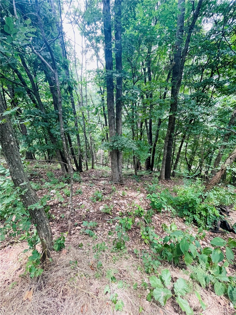 MO ARK VIEW ESTATES - Land
