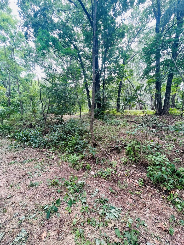 MO ARK VIEW ESTATES - Land