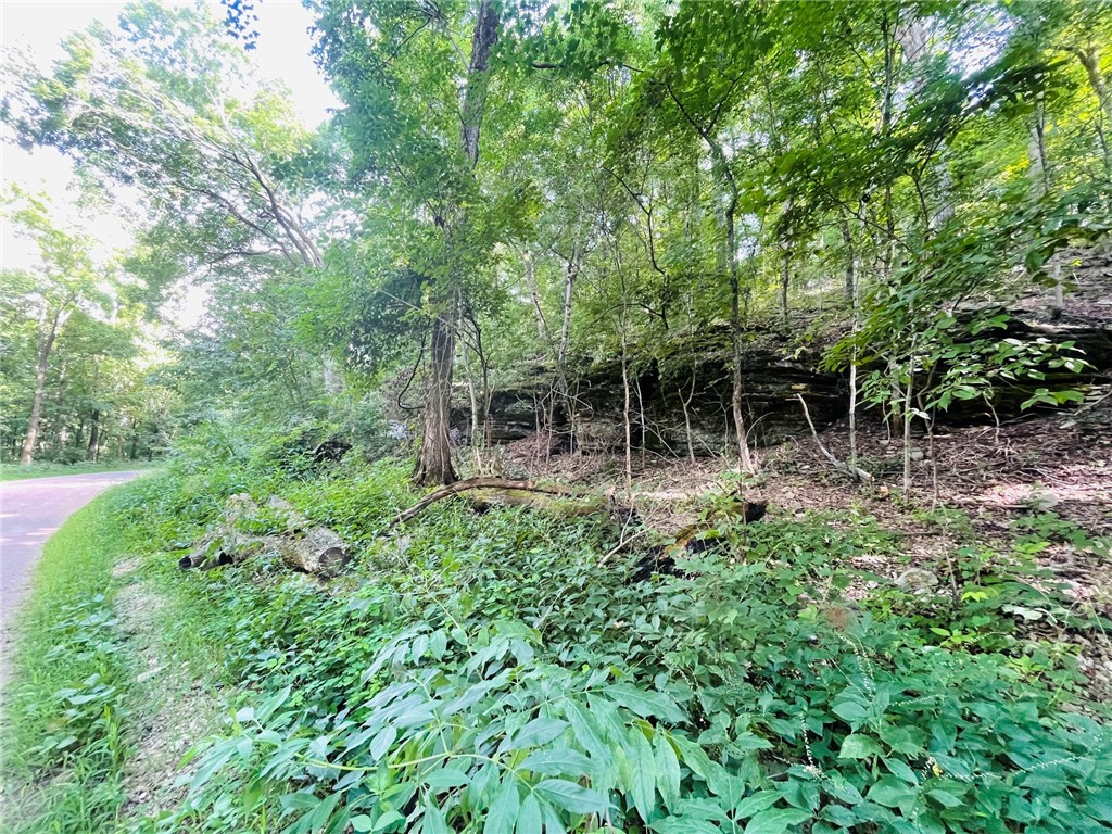 MO ARK VIEW ESTATES - Land