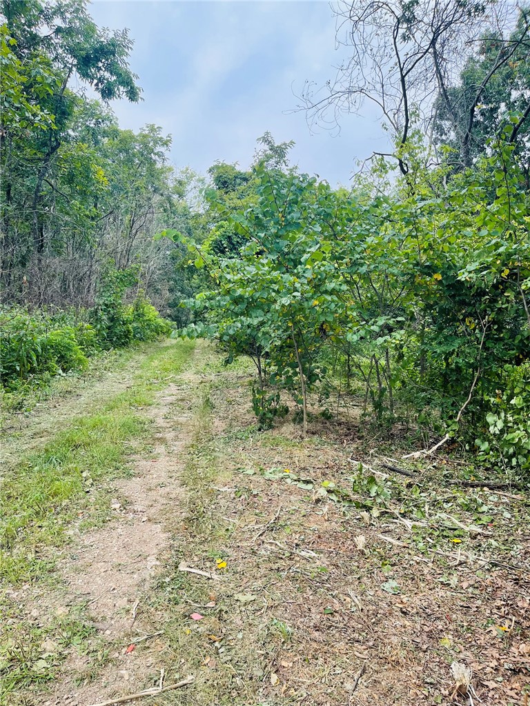 MO ARK VIEW ESTATES - Land