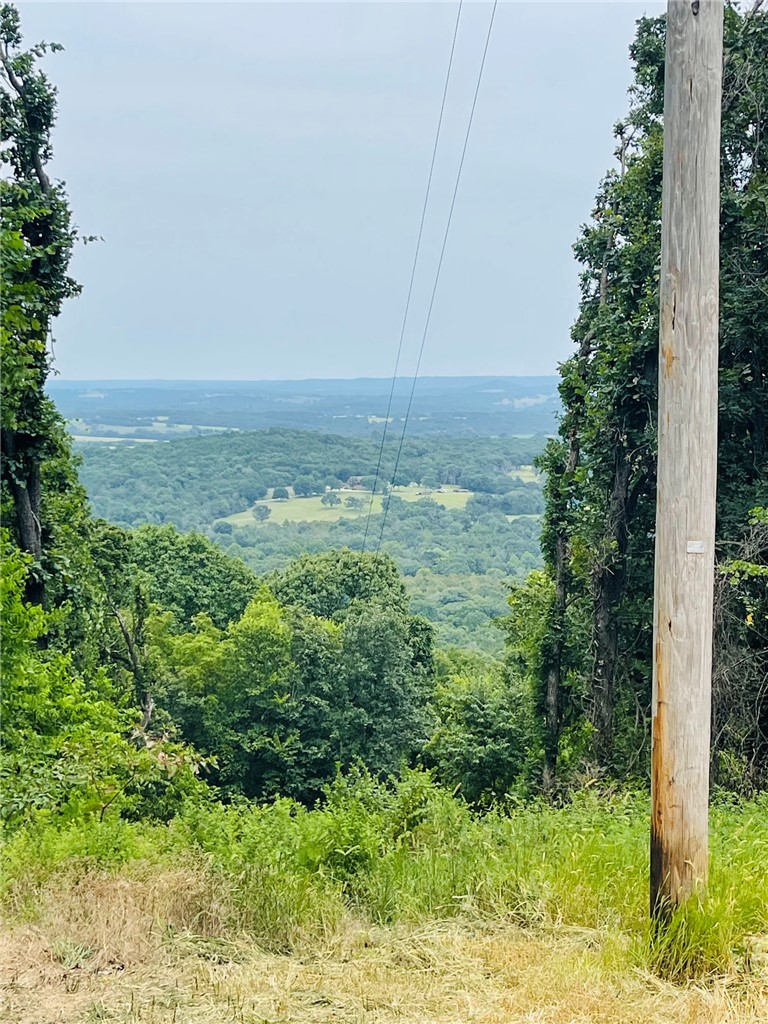 Outstanding View awaits from this 5 acre build site!  Property has some open space on top to build a home that has a perc test already and a drilled water well (well will need a pump installed when ready to use).  Power is at the road and across the South end of the property.  Beautiful rock outcroppings along the county road frontage of the property provide the scenery you expect in the Ozarks.  Located just minutes from Berryville, Eureka Springs, Kings River, and Table Rock Lake.  Branson MO to the North and the Buffalo River to the SE is about 45 minutes away.  XNA Airport, Bentonville, Rogers, Fayetteville AR are all approx. 1-1/5 hours away.  Come and secure you piece of the Ozarks today!