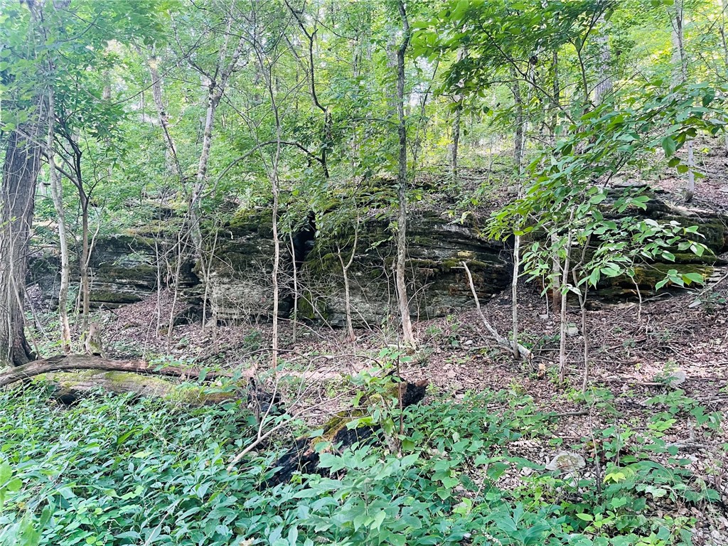 MO ARK VIEW ESTATES - Land